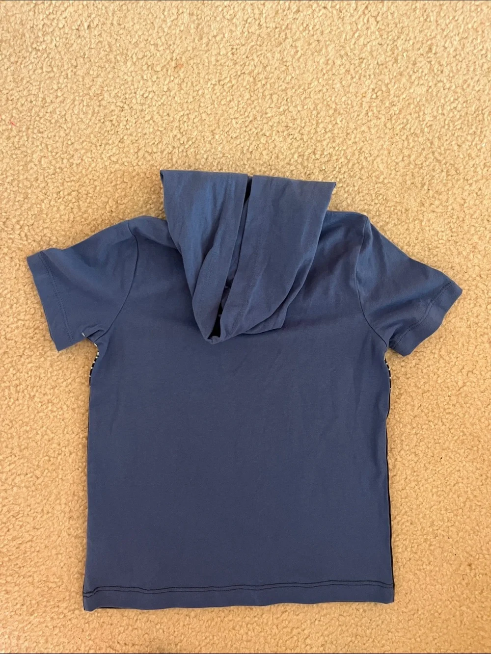 OshKosh B'gosh Blue Hooded Stripe Tee with Black Shorts